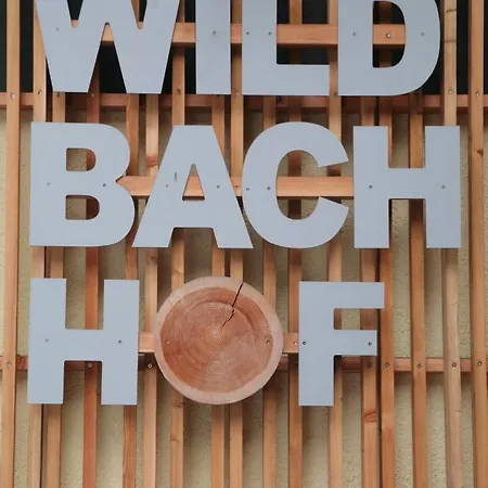 Апартаменти Der Wildbachhof - Contactless Check In Целль-ам-Зеє