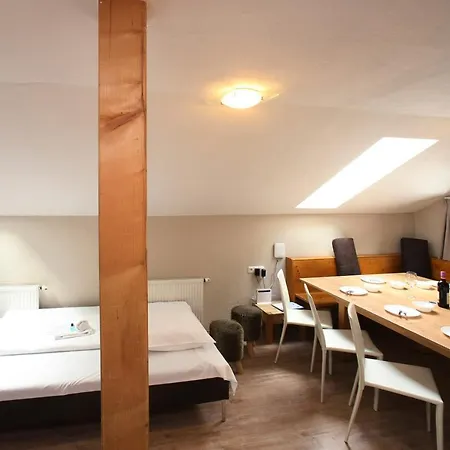 Der Wildbachhof - Contactless Check In Apartment Zell am See