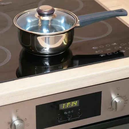 Апартаменти Der Wildbachhof - Contactless Check In Целль-ам-Зеє